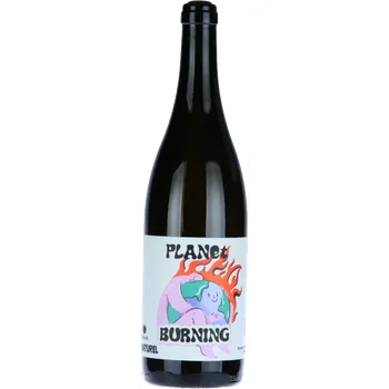 Víno Planet Burning 2024, moravské zemské víno, Vinařství Špalek, suché