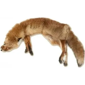 tréninková pomůcka pro psa Bracco Atrapa liščí třídílný 7kg celokožešinový Aport Dummy