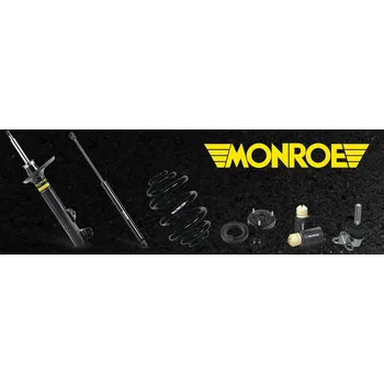 Monroe 72969ST Tlumič