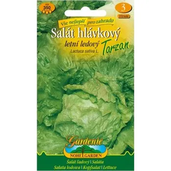 Semeno Nohel Garden Salát hlávkový letní ledový TARZAN
