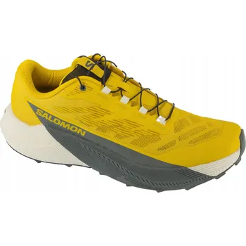Pánská běžecká obuv Salomon běžecké boty PULSAR velikost 44 2/3