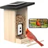 Krmítko pro ptáka Birdfy Feeder Ebony Lite s kamerou EPPAMBNI8702110 20,3 x 20,3 x 33,8 cm