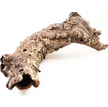 Teraristika Kůra korkového dubu L (do Ø12 cm)