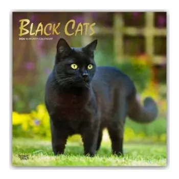 Diář Black Cats - Schwarze Katzen 2026 - 16-Monatskalender – BrownTrout Publishers Inc (EN)