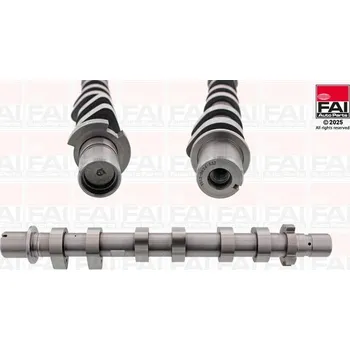 Motor automobilu Vačkový hřídel FAI AUTOPARTS C533