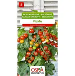 Osiva Moravia Rajče keříčkové balkónové…