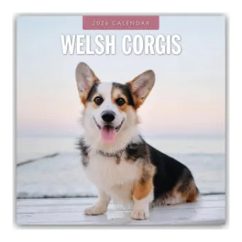 Diář Welsh Corgis - Welsh Corgi 2026 - 16-Monatskalender – Red Robin (EN)