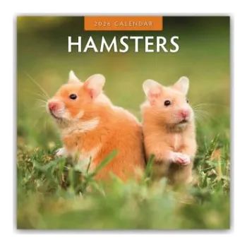 Diář Hamsters - Hamster 2026 - 16-Monatskalender – Red Robin (EN)