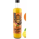 Mixit Ginger Samuraj zázvorový nápoj s…