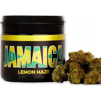 CBD CBD Konopí Sušené - Lemon Haze 10g - Přírodní, Neomývané Květy
