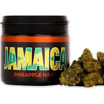 CBD Konopná Sušina CBD Pineapple 20g – Přírodní CBD Květy Konopí