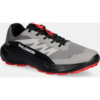 Pánská móda Boty Salomon ALPHAGLIDE L48000800 šedá 09X, EUR 44