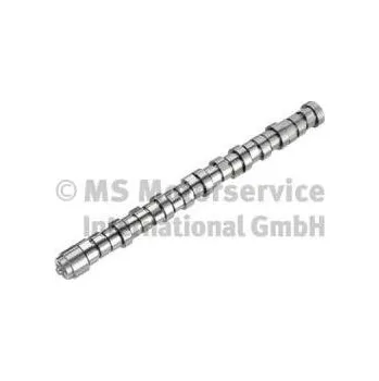 Vačková hřídel Vačkový hřídel BF 20101410000