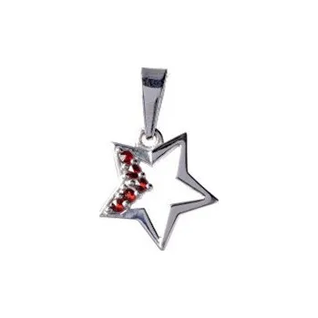 Přívěsek Stříbrný přívěsek s českým granátem, rhodiovaný - hvězda