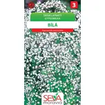 Osiva Moravia Šáter latnatý 0,4 g