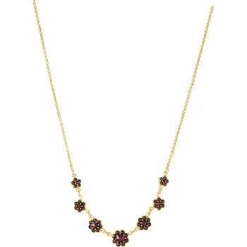 Náhrdelník Stříbrný náhrdelník s českým granátem, zlacený - květina
