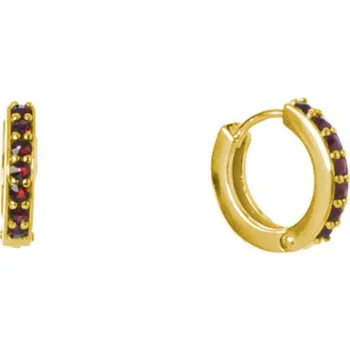 Náušnice Stříbrné náušnice s českým granátem, zlacené - kruh Zapínání: kreole