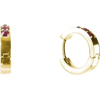 Náušnice Stříbrné náušnice s českým granátem, zlacené - kruh Zapínání: kreole