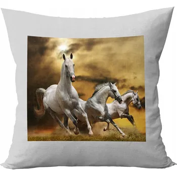 Polštář Polštář 40 x 40 cm