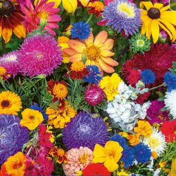 Semeno Květinová směs - Last Minute - osivo Kiepenkerl - 1&nbsp;ks