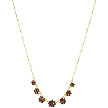 Náhrdelník Stříbrný náhrdelník s českým granátem, zlacený - květina