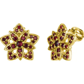 Náušnice Stříbrné náušnice s českým granátem, zlacené - hvězda Zapínání: klapka