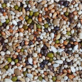 Krmivo pro ptáka Závodní směs pro holuby dieta.