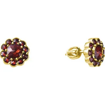 Náušnice Stříbrné náušnice s českým granátem, zlacené - květina Zapínání: puzeta