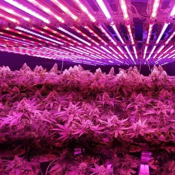 Příslušenství pro skleník Cannabis LED Light BIOLED Cannabis LED Tube 108cm 50W