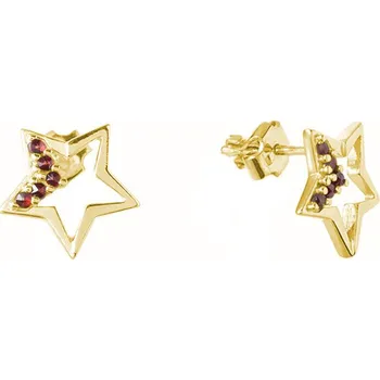 Náušnice Stříbrné náušnice s českým granátem, zlacené - hvězda Zapínání: puzeta