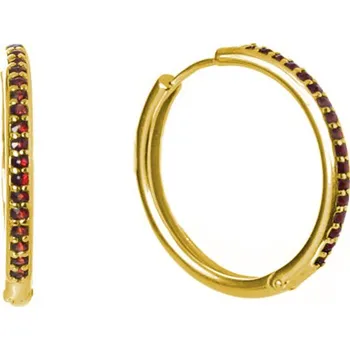 Náušnice Stříbrné náušnice s českým granátem, zlacené - kruh Zapínání: kreole