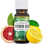 Saloos Esenciální olej Citrus mix 10 ml