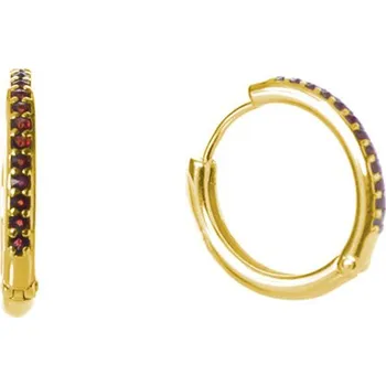 Náušnice Stříbrné náušnice s českým granátem, zlacené - kruh Zapínání: kreole