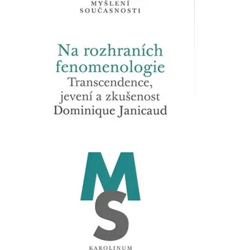 Na rozhraních fenomenologie - Transcendence, jevení a zkušenost