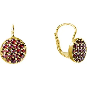 Náušnice Stříbrné náušnice s českým granátem, zlacené - kruh Zapínání: puzeta