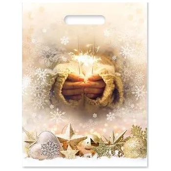 Dárková taška ARGUS Vánoční taška igelitová 27 x 36 cm 20131012