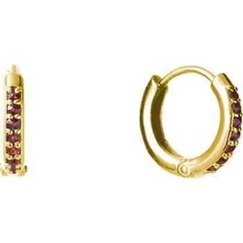 Náušnice Stříbrné náušnice s českým granátem, zlacené - kruh Zapínání: kreole