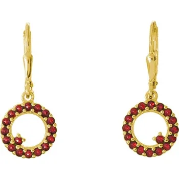 Náušnice Stříbrné náušnice s českým granátem, zlacené - kruh Zapínání: klapka