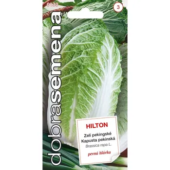 Semeno Zelí pekingské HILTON (DS)