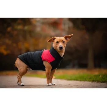 Obleček pro psa Vsepropejska Slim-rainy obleček pro psa na zip Barva: Černo-červená, Délka zad (cm): 43, Obvod hrudníku: 56 - 62 cm