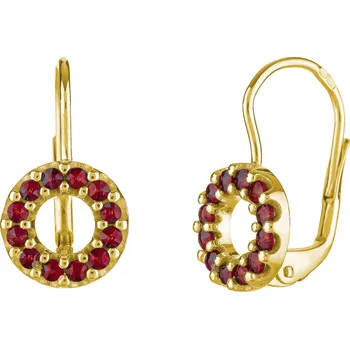 Náušnice Stříbrné náušnice s českým granátem, zlacené - kruh Zapínání: puzeta