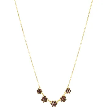 Náhrdelník Stříbrný náhrdelník s českým granátem, zlacený - květina