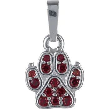 Přívěsek Stříbrný přívěsek s českým granátem, rhodiovaný - tlapka