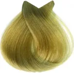 Tahe LUMIÉRE COLOUR EXPRESS č. 10.31 S TRIONIC KERATINEM