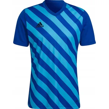 Pánské oblečení Pánské tričko Adidas Entrada 22 Graphic vel. M