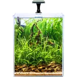 Invital Shrimp LED 30 l