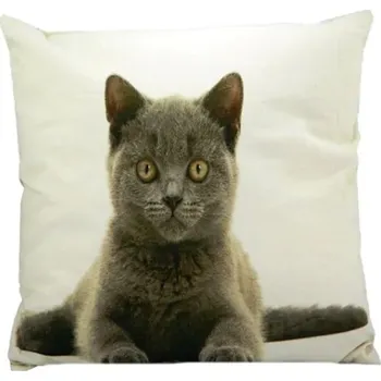 deka Polštář BRITSKÁ KRÁTKOSRSTÁ KOČKA bavlněný bílý 50cm