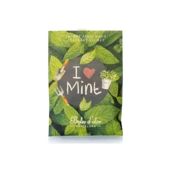 Vonný olej Sáček vonný I Love Mint