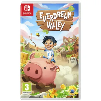 Hra pro Nintendo Switch Everdream Valley (Switch)