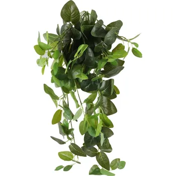 umělá květina Fittonie trs umělá zelená 70cm